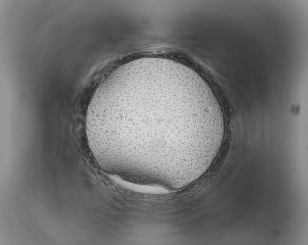 X0000114171447200911051517