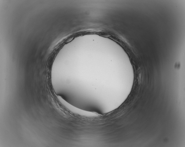 X0000114171448200911051517