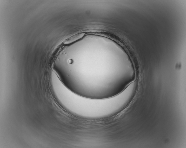 X0000114171449200911051517