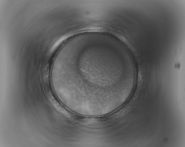 X0000114171450200911051517