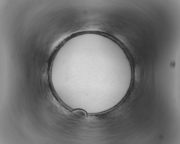 X0000114171452200911051517