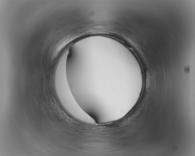 X0000114171453200911051517