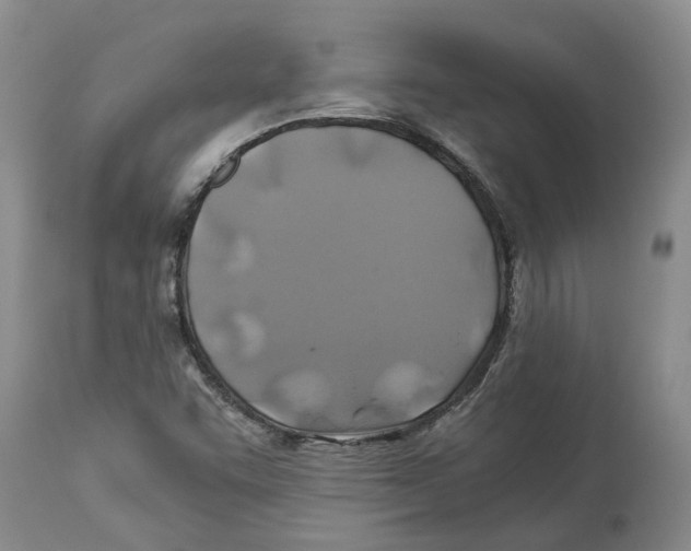 X0000114171455200911051517