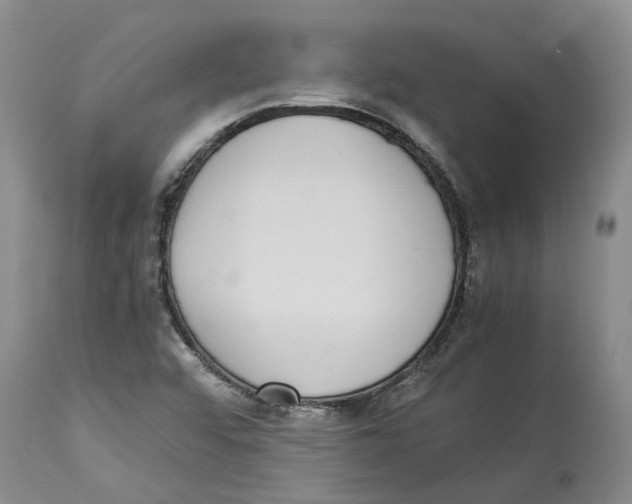 X0000114171456200911051517