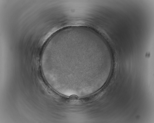 X0000114171457200911051517