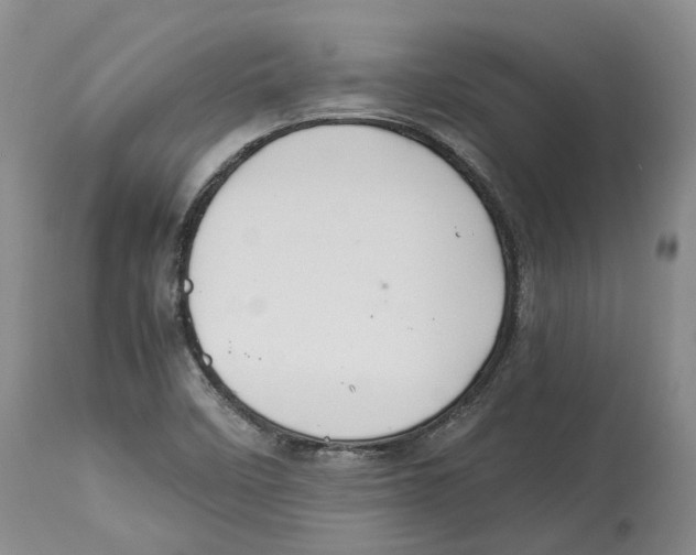 X0000114171458200911051517