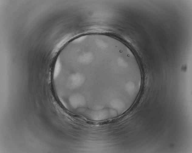 X0000114171459200911051517