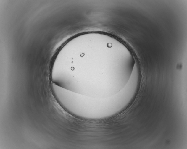 X0000114171460200911051517