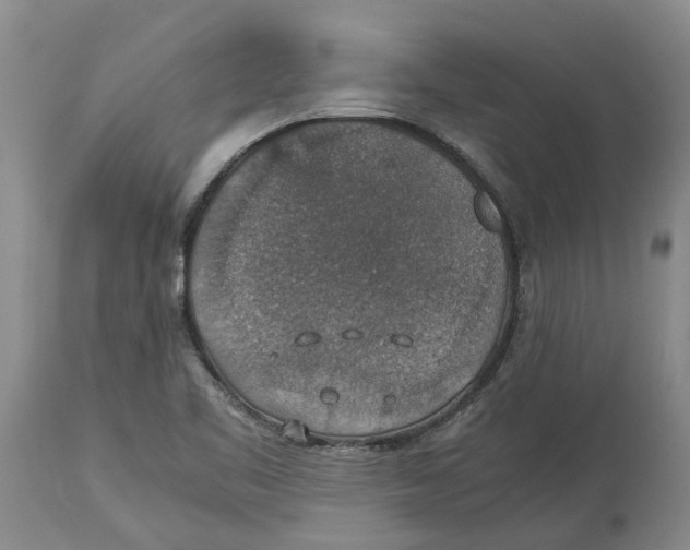 X0000114171461200911051517