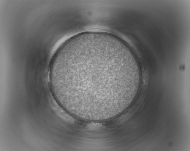 X0000114171462200911051517