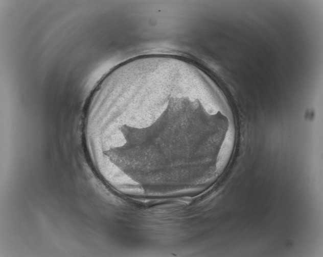 X0000114171463200911051517