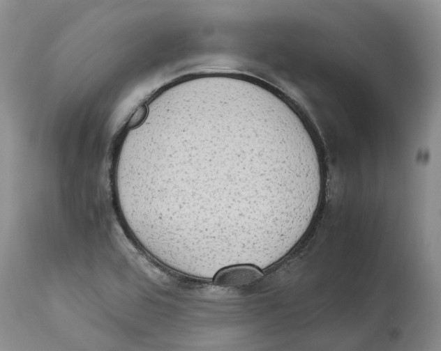 X0000114171464200911051517