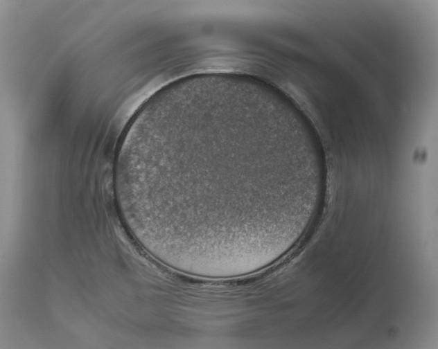 X0000114171465200911051517