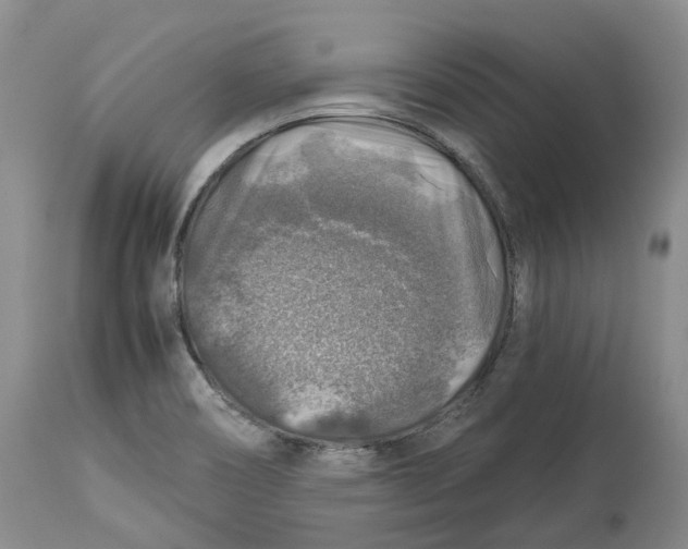 X0000114171466200911051516