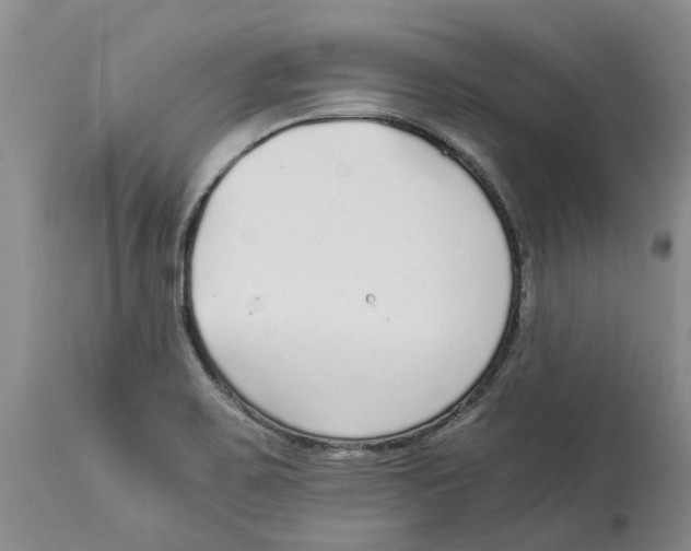 X0000114171467200911051516