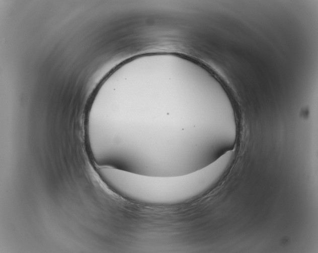 X0000114171468200911051516