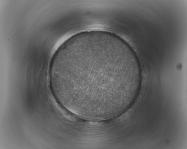 X0000114171469200911051516