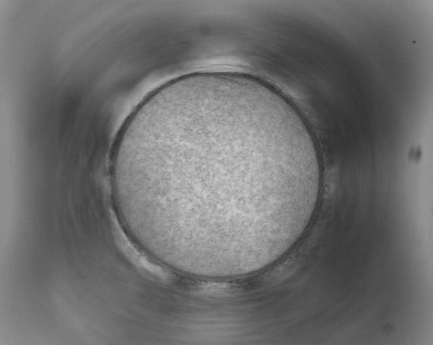 X0000114171470200911051516