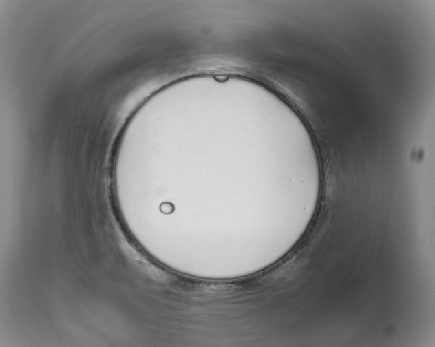 X0000114171471200911051516