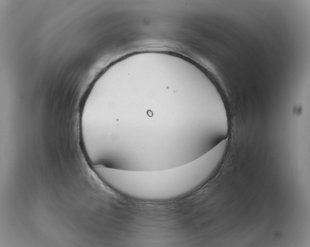 X0000114171472200911051516