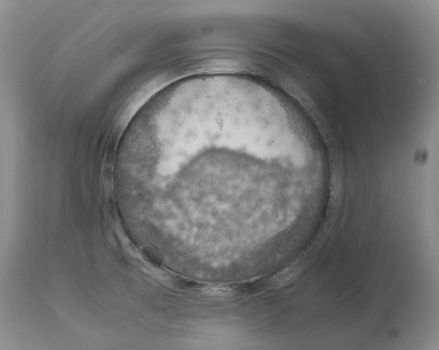 X0000114171473200911051516