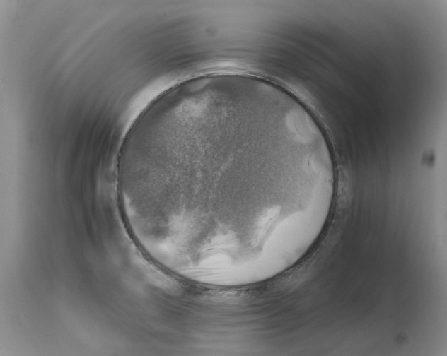 X0000114171474200911051516