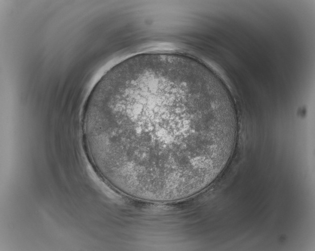 X0000114171475200911051516