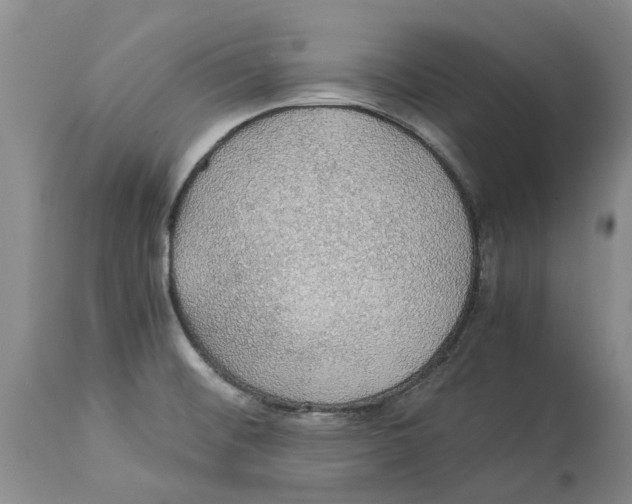 X0000114171476200911051516