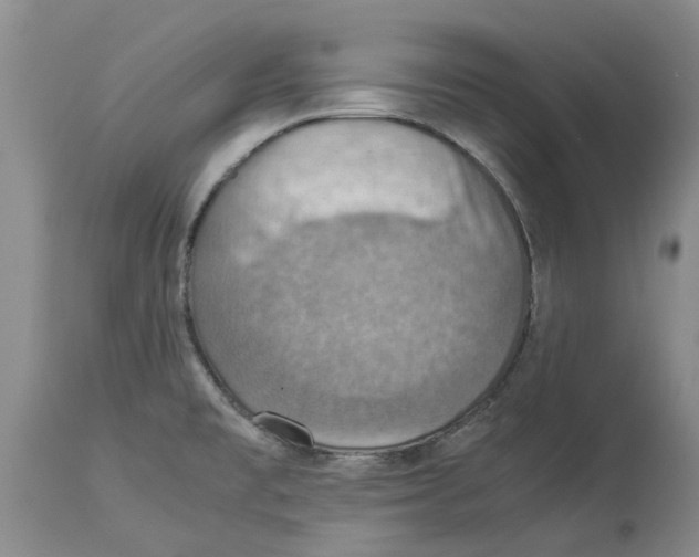 X0000114171477200911051516