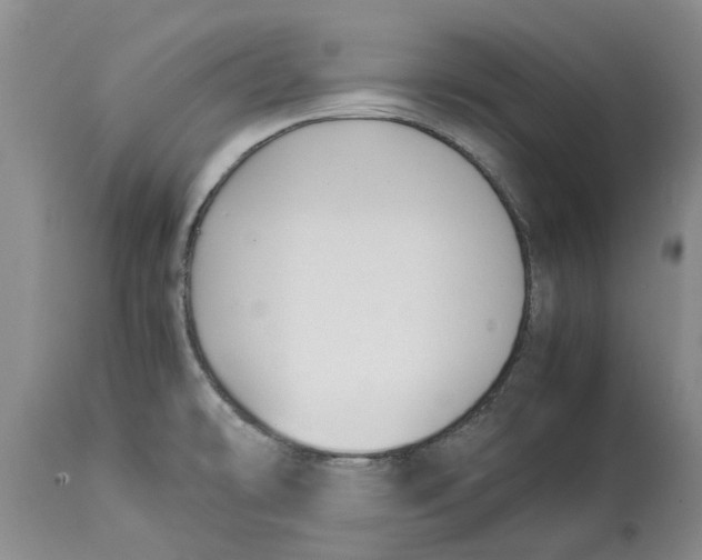 X0000114171478200911051516