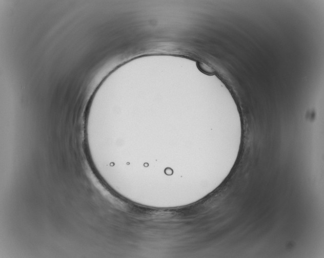 X0000114171479200911051516