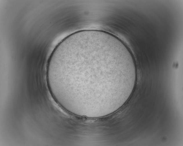 X0000114171480200911051516