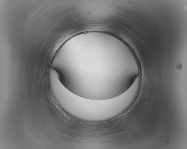 X0000114171481200911051516