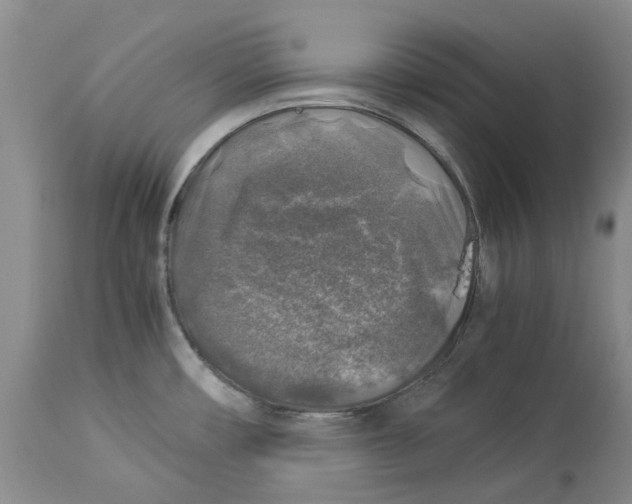 X0000114171482200911051516