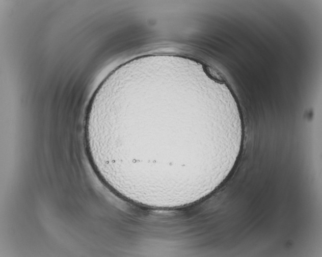 X0000114171483200911051516