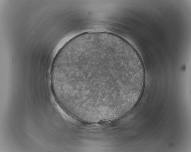 X0000114171485200911051516