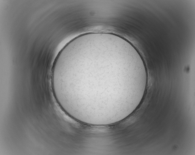 X0000114171486200911051516