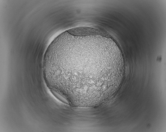 X0000114171487200911051516