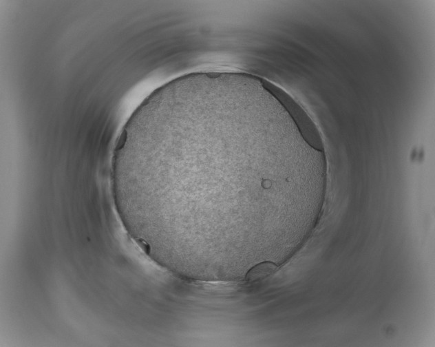 X0000114171488200911051516