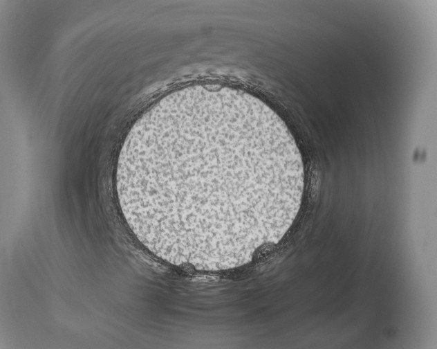 X0000114171489200911051516