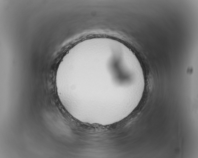 X0000114171494200911051516