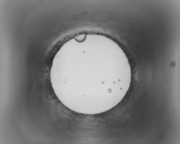 X0000114171495200911051516