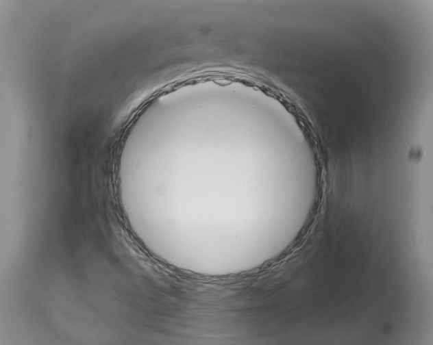 X0000114171496200911051516