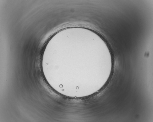 X0000114171498200911051516