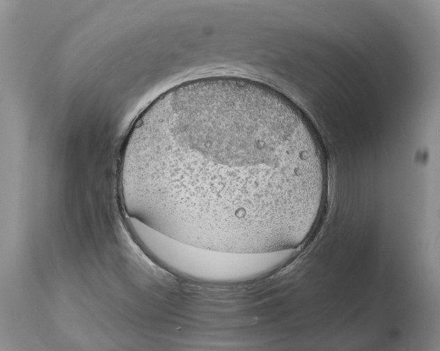 X0000114171500200911051516