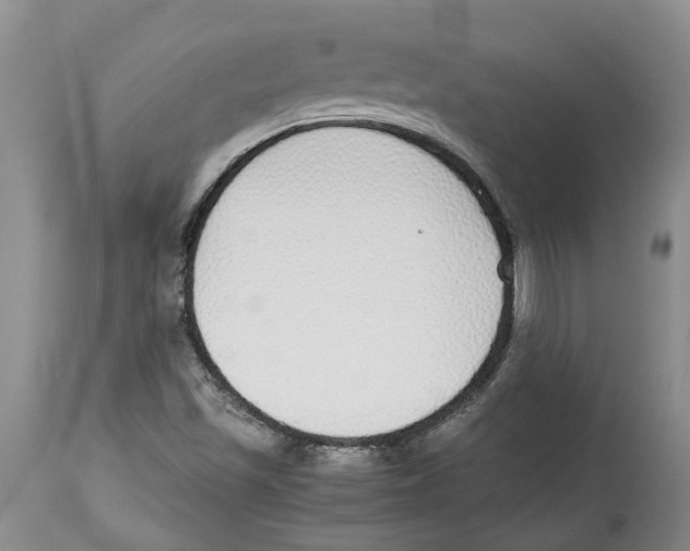 X0000114171501200911051516