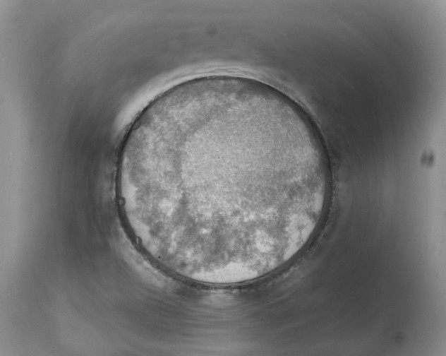 X0000114171504200911051516