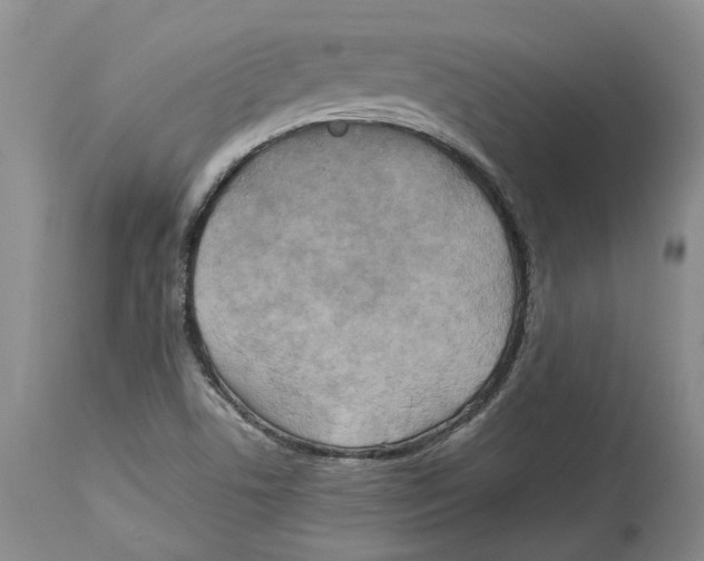 X0000114171506200911051516