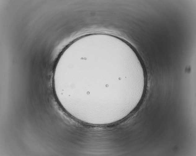 X0000114171507200911051516