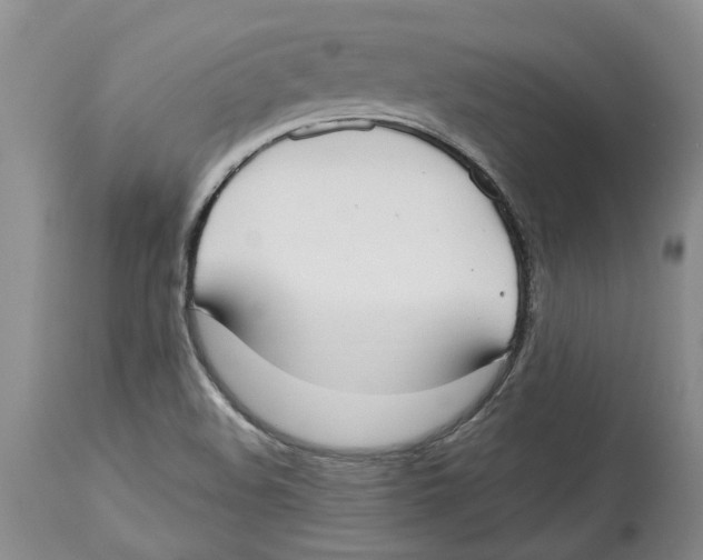 X0000114171508200911051516